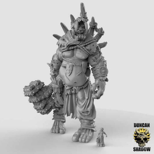 Titan King | Duncan Shadow | PathFinder | Mini | Tabletop Wargaming | Dungeons and Dragons | Resin | Fantasy | RPG