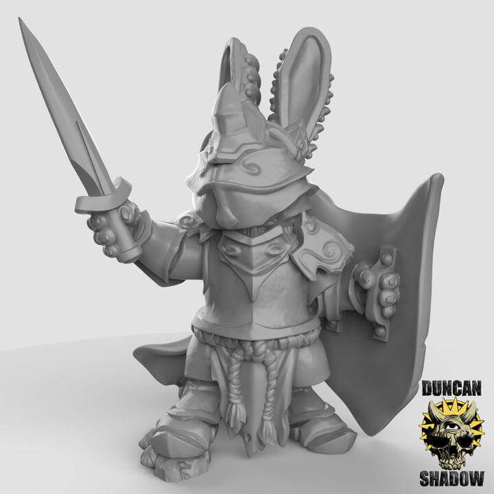 Rabbit Folk Paladin | Duncan Shadow | PathFinder | Mini | Tabletop Wargaming | Dungeons and Dragons | Resin | Fantasy | RPG