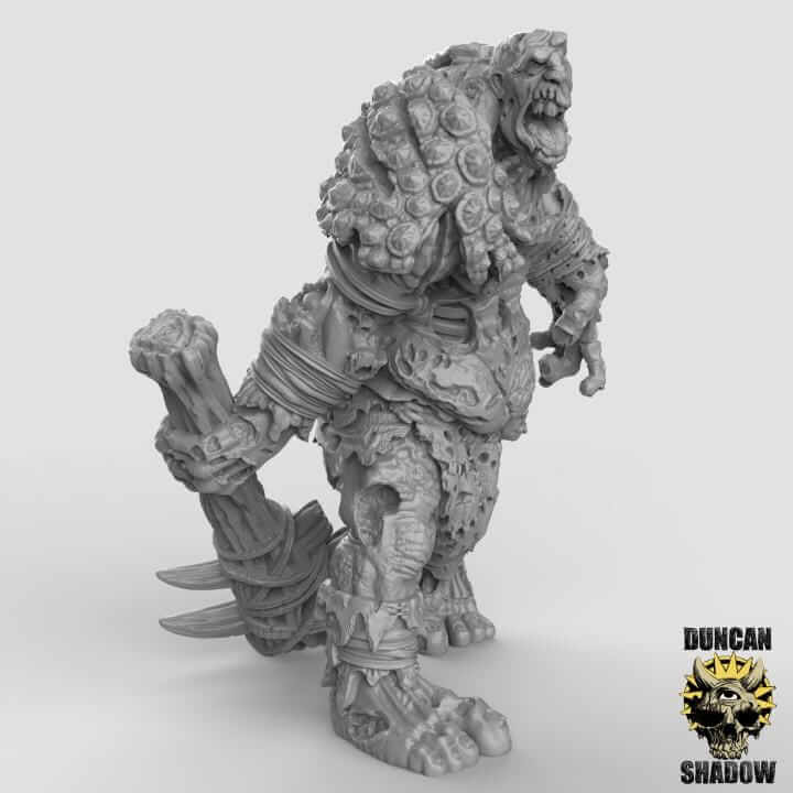 Undead Titan | Duncan Shadow | PathFinder | Mini | Tabletop Wargaming | Dungeons and Dragons | Resin | Fantasy | RPG