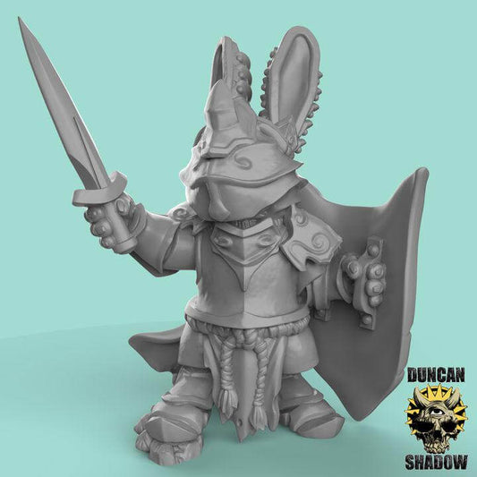 Rabbit Folk Paladin | Duncan Shadow | PathFinder | Mini | Tabletop Wargaming | Dungeons and Dragons | Resin | Fantasy | RPG