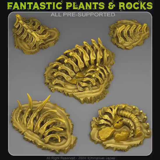 Fossilised monster rocks for tabletop gaming, featuring unique plants and textures, perfect for RPGs and Dungeons & Dragons.